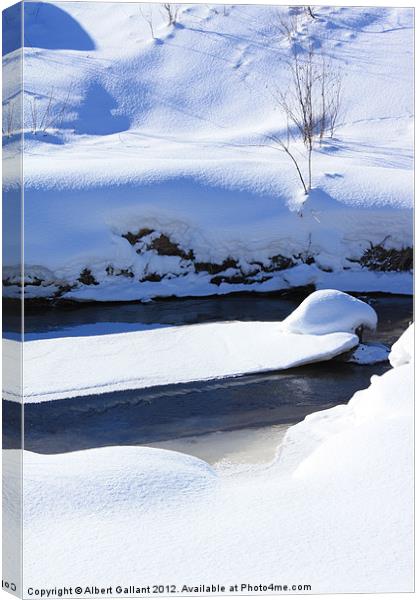 Shades and shapes of winter. Canvas Print by Albert Gallant
