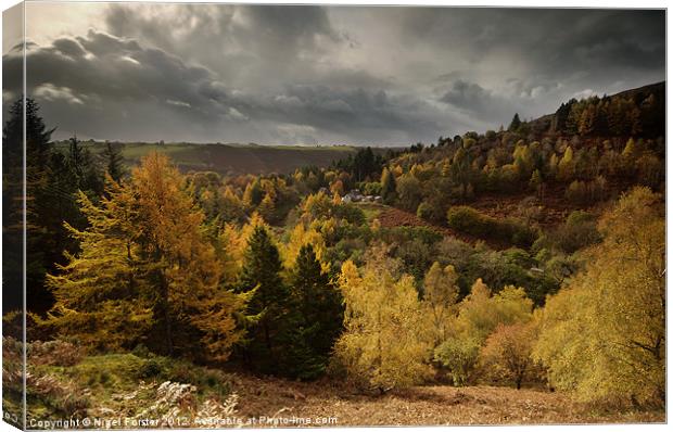 Llanidloes autumn landscape Canvas Print by Creative Photography Wales