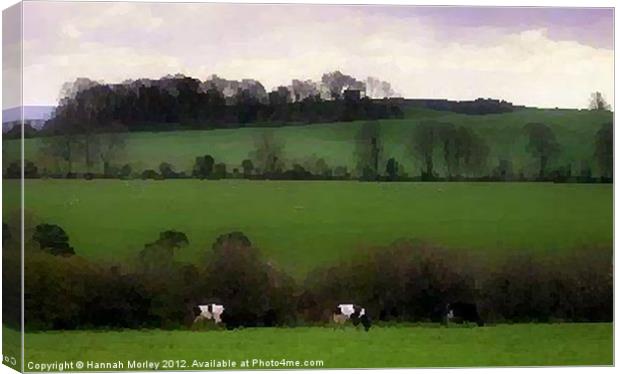 Irish Countryside Canvas Print by Hannah Morley