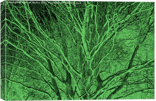 Crazy Green Tree Canvas Print by Hannah Morley