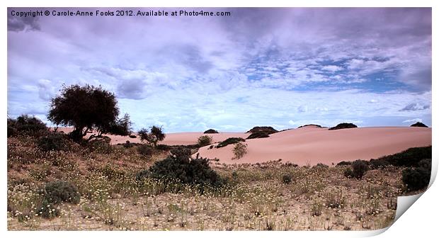 Dunes, Late Afternoon at Mungo Print by Carole-Anne Fooks
