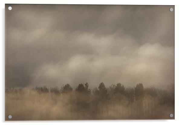 Fog Wall Acrylic by Natures' Canvas: Wall Art  & Prints by Andy Astbury