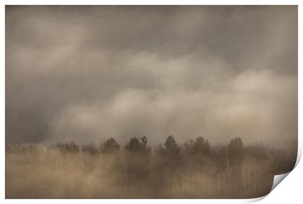 Fog Wall Print by Natures' Canvas: Wall Art  & Prints by Andy Astbury