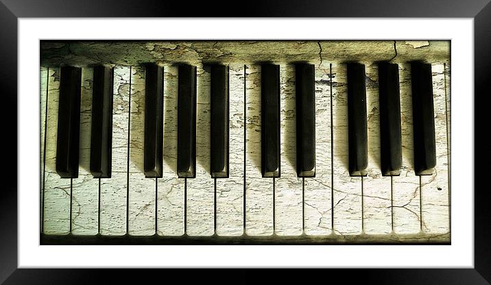 2 octaves Framed Mounted Print by Heather Newton