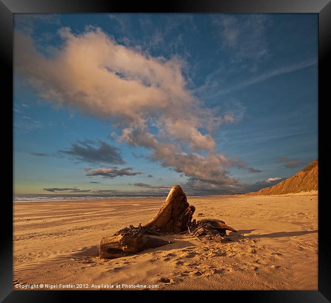 Driftwood at Rhossili Framed Print by Creative Photography Wales