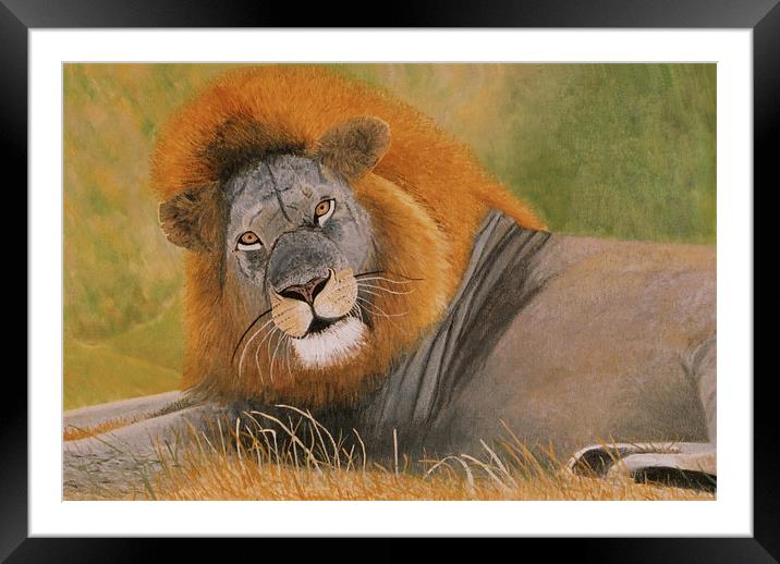 Lion at Rest Framed Mounted Print by Olive Denyer