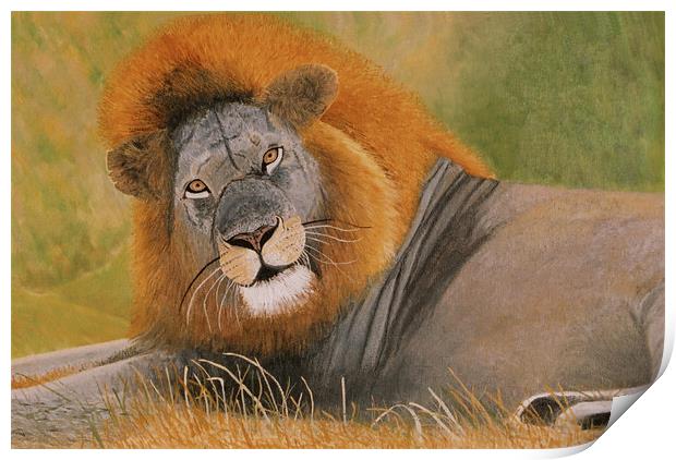 Lion at Rest Print by Olive Denyer