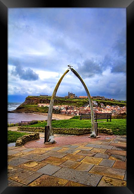 whitby whale bones Framed Print by Northeast Images