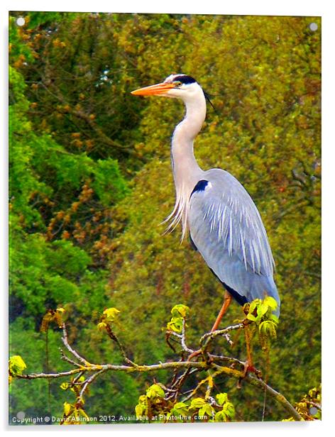 HERON ON THE LOOKOUT Acrylic by David Atkinson
