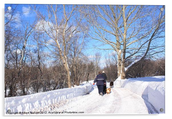 Winter walk Acrylic by Albert Gallant