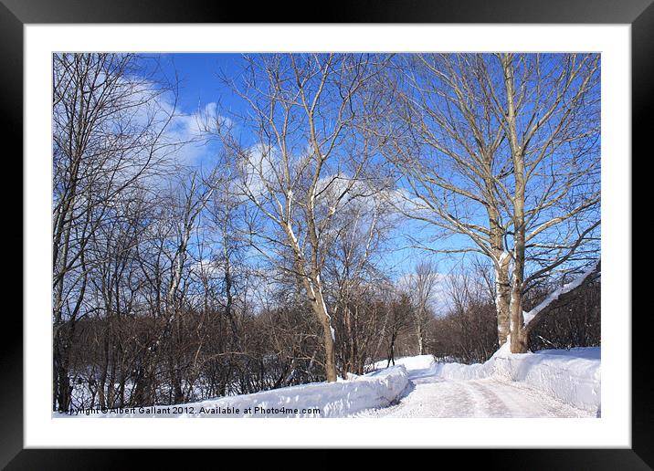 Winter Path 17 Framed Mounted Print by Albert Gallant