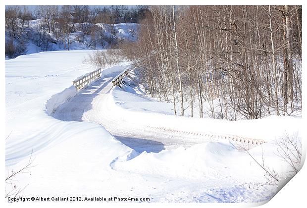 Winter path and bridge Print by Albert Gallant