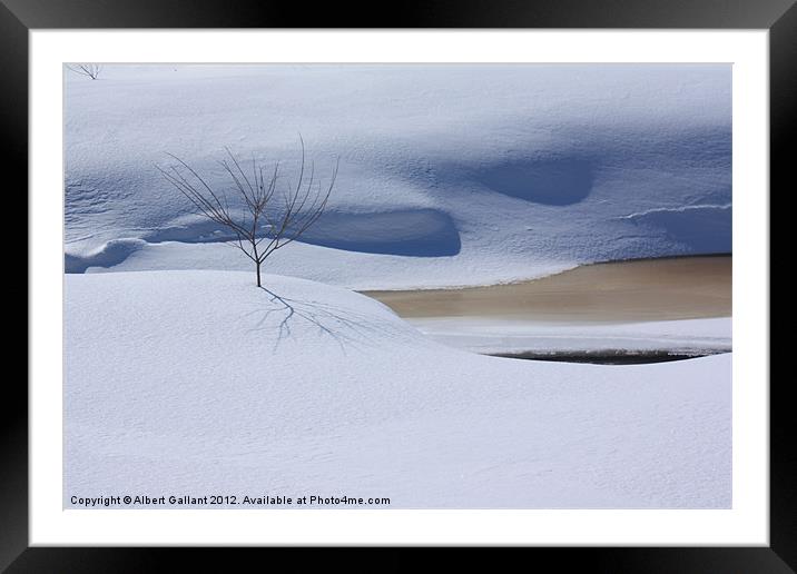 Shadows of Winter Framed Mounted Print by Albert Gallant