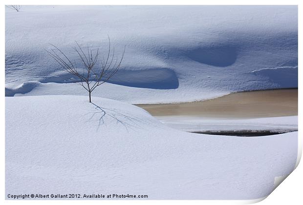 Shadows of Winter Print by Albert Gallant