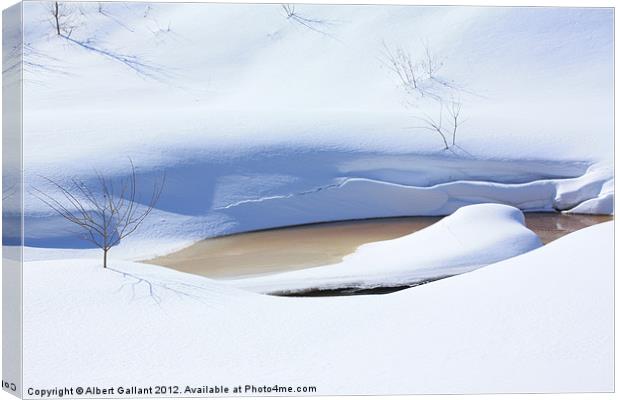 Nature of Winter Canvas Print by Albert Gallant