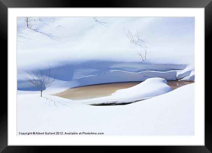 Nature of Winter Framed Mounted Print by Albert Gallant
