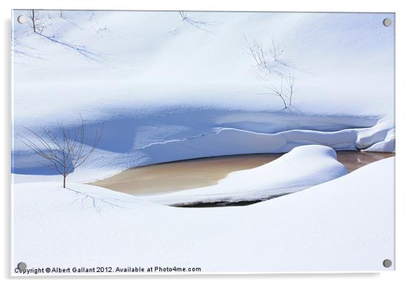 Nature of Winter Acrylic by Albert Gallant