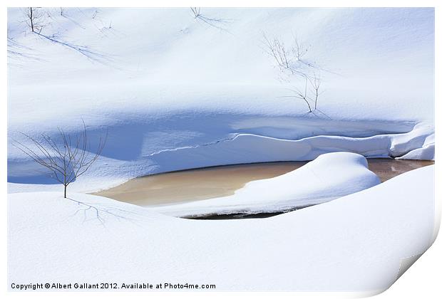 Nature of Winter Print by Albert Gallant