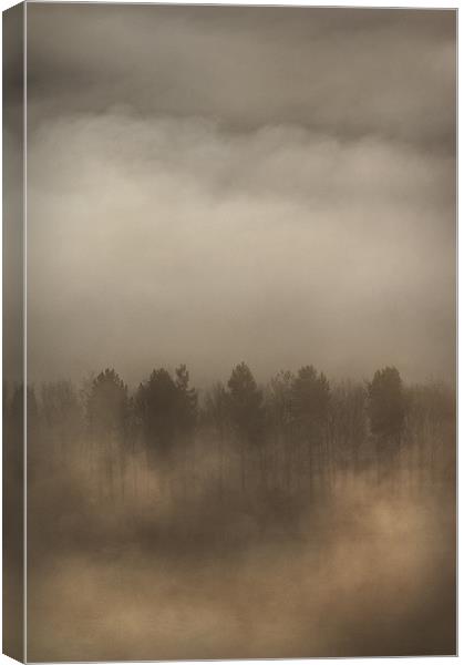 Fog Wall Canvas Print by Natures' Canvas: Wall Art  & Prints by Andy Astbury