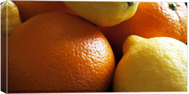 Oranges & Lemons Canvas Print by Sara Messenger