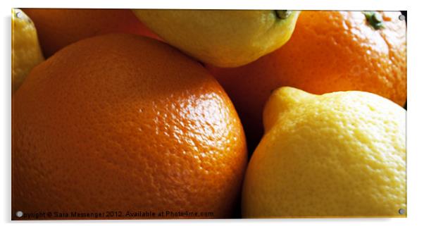 Oranges & Lemons Acrylic by Sara Messenger
