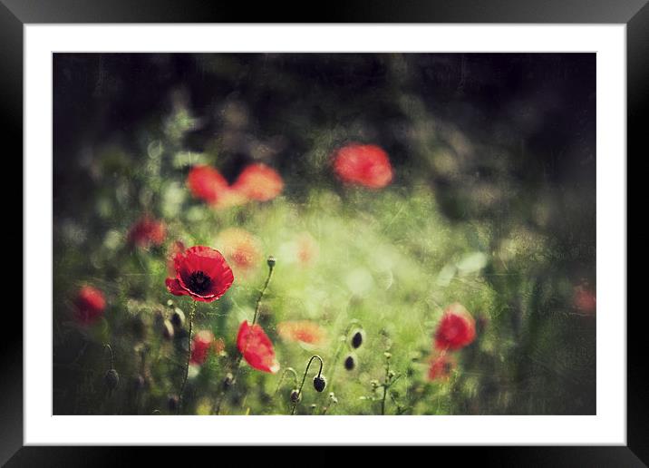 Meadows in Red Framed Mounted Print by Simon Wrigglesworth