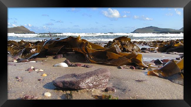 Winestrand Framed Print by barbara walsh