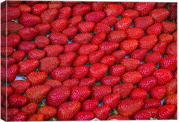 strawberries Canvas Print by keith sutton