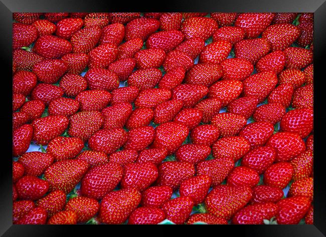 strawberries Framed Print by keith sutton