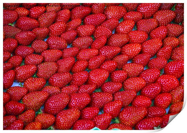 strawberries Print by keith sutton
