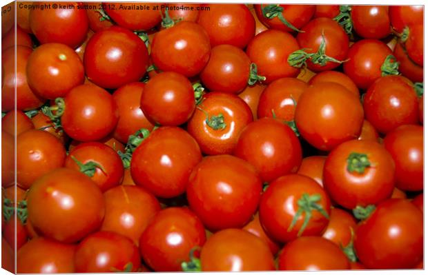 tomatoes aplenty Canvas Print by keith sutton