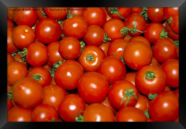 tomatoes aplenty Framed Print by keith sutton