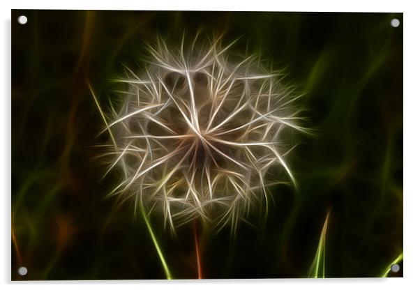 Dandelion Fractalius Acrylic by Dean Messenger