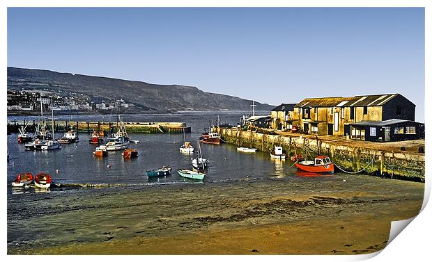 Lyme Harbour Print by Derek Vines