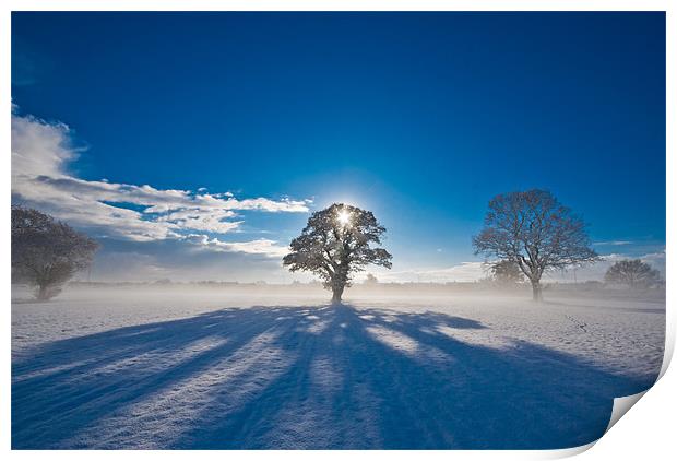 Snow shadows Print by Marc Melander