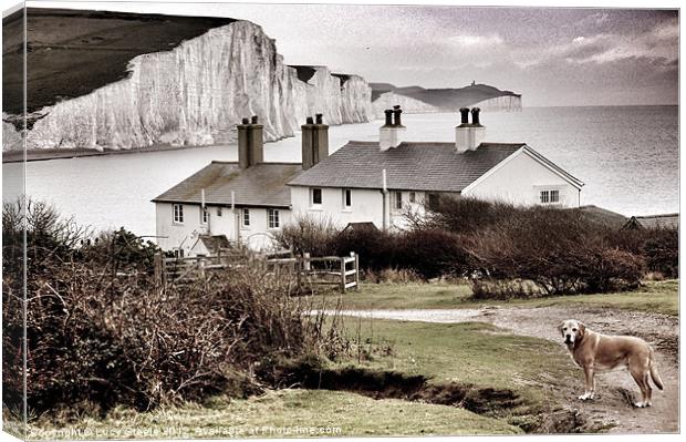 Coastal Cottages & Ted Canvas Print by Lucy Steele