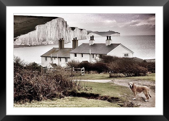 Coastal Cottages & Ted Framed Mounted Print by Lucy Steele