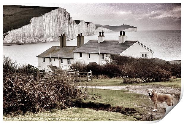 Coastal Cottages & Ted Print by Lucy Steele