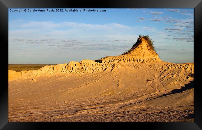 Sunrise on Pinnacles Framed Print by Carole-Anne Fooks