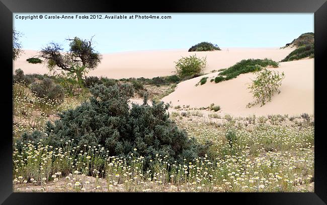 Dunes & Wildflowers Framed Print by Carole-Anne Fooks