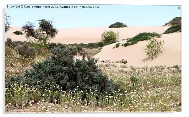 Dunes & Wildflowers Acrylic by Carole-Anne Fooks