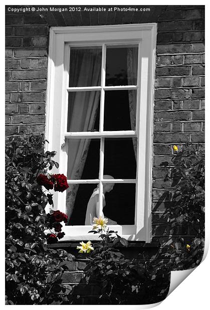 Rose Window. Print by John Morgan