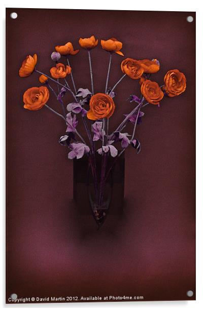 poppies Acrylic by David Martin