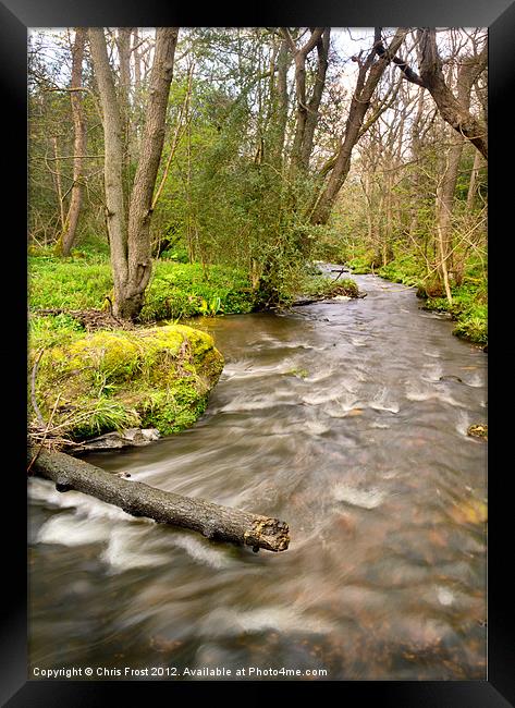 The Nidd at Birk Crag Framed Print by Chris Frost