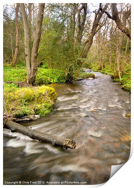 The Nidd at Birk Crag Print by Chris Frost
