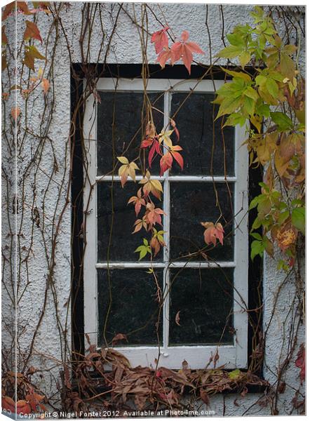 Virginia Creeper Canvas Print by Creative Photography Wales