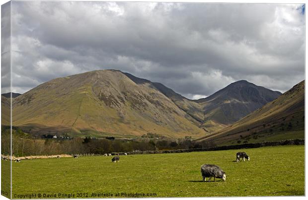 Kirk Fell and Great Gable Canvas Print by David Pringle