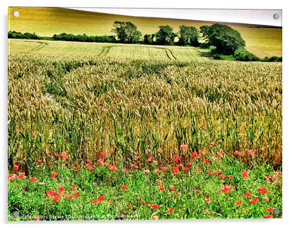 Before the Harvest Acrylic by Lucy Steele