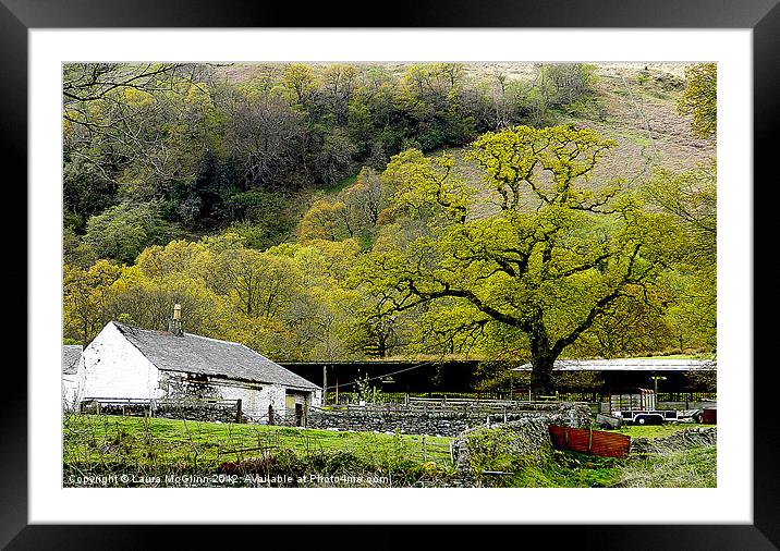 Spring at the Farm Framed Mounted Print by Laura McGlinn Photog