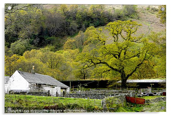 Spring at the Farm Acrylic by Laura McGlinn Photog